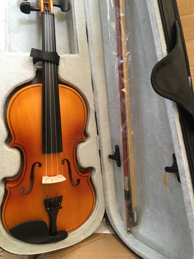 professional Violins Matte finish 1