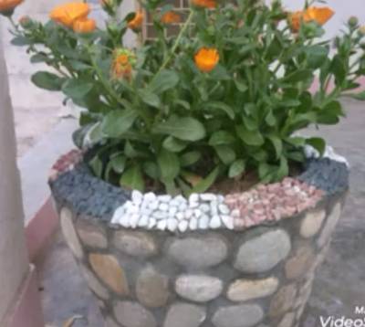 Stoon pots for plants