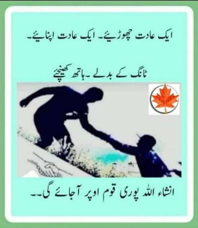 carpool available North to share Faisal