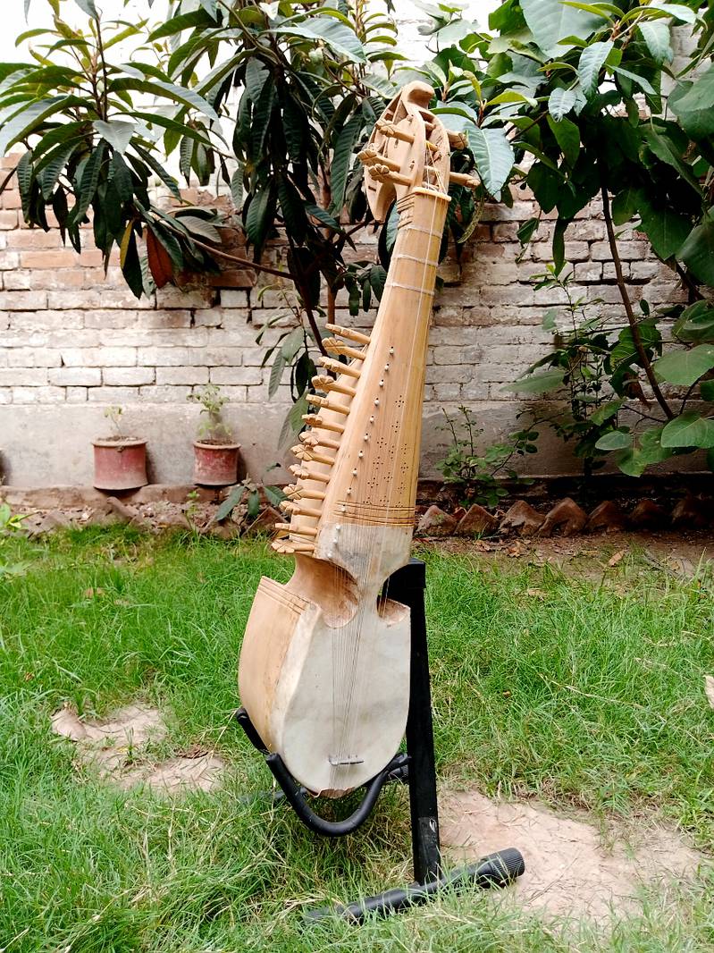 Rabab with extra strings set and pick (very urgent selling) 3