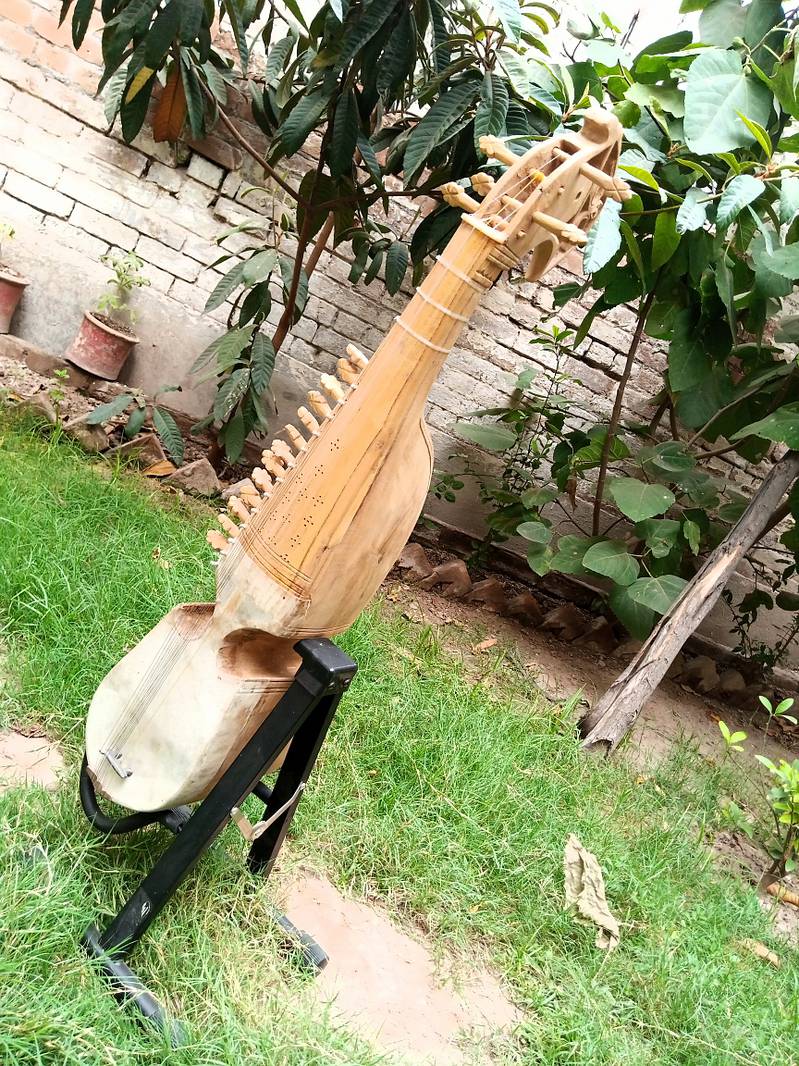 Rabab with extra strings set and pick (very urgent selling) 4