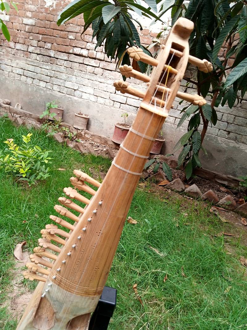 Rabab with extra strings set and pick (very urgent selling) 5