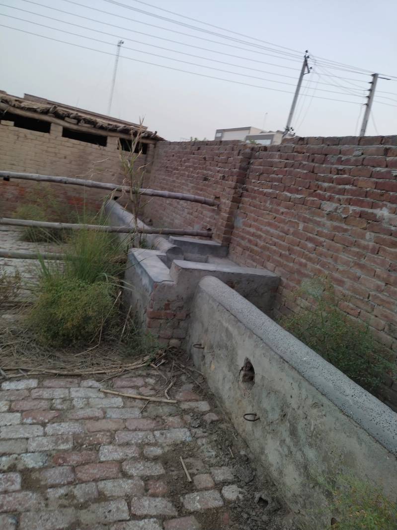 دس مرے جگہ ڈیری بنانے اور جانور وغیرہ رکھنے کے لیے خالی ہے 2