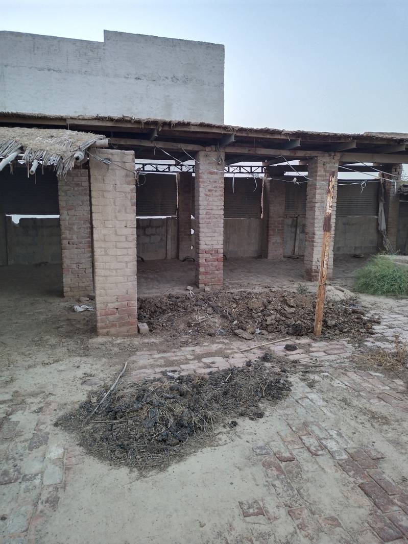 دس مرے جگہ ڈیری بنانے اور جانور وغیرہ رکھنے کے لیے خالی ہے 6