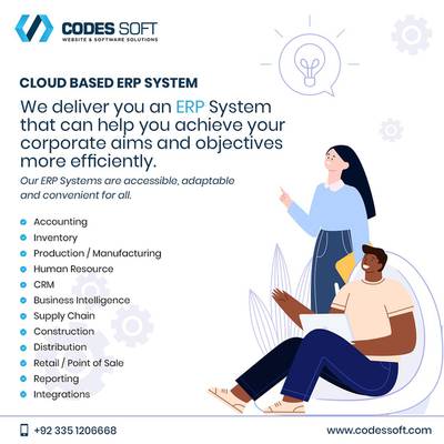 ERP Software System (Accounting-Financial, HR-Payroll, POS, Inventory)