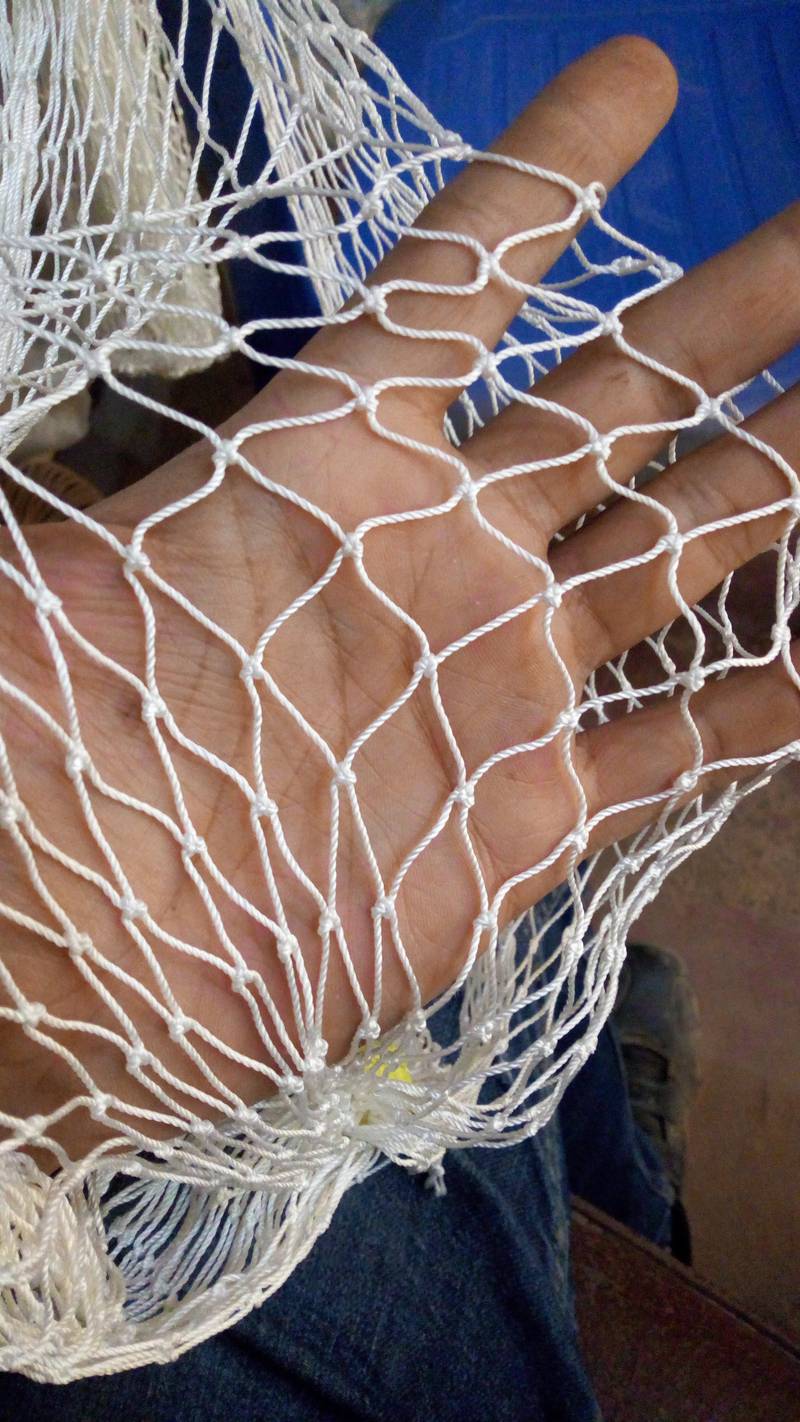 Poultry Net / Boundary Net / Practice Net 10