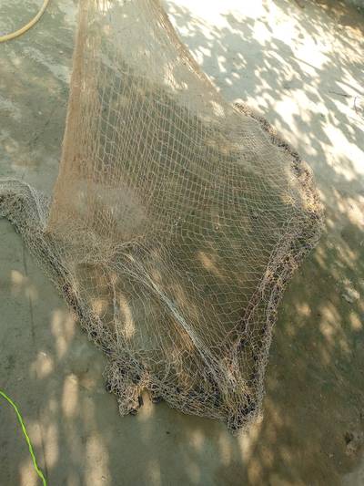 Fish catching net 2
