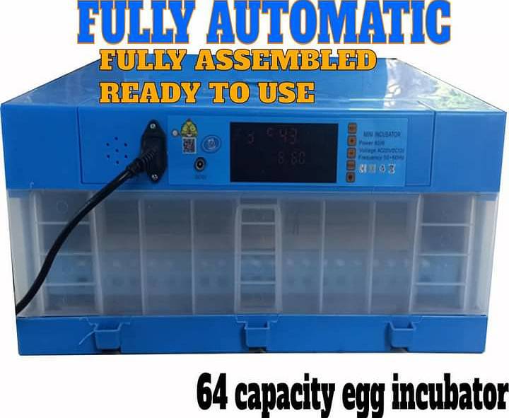 64 and 128 eggs automatic incubator  ac/dc 1