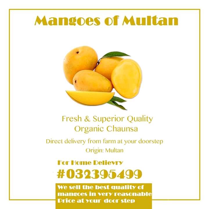 Mangoes 8