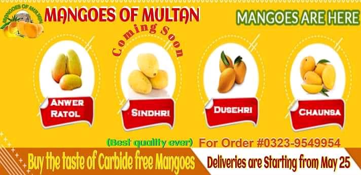 Mangoes 10
