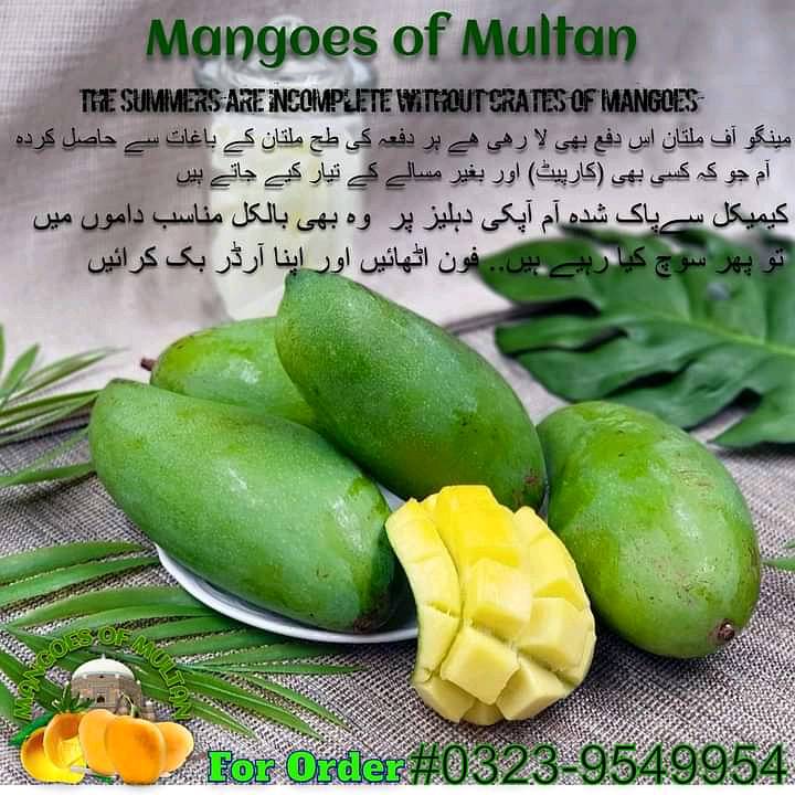 Mangoes 11