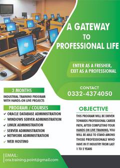 IT Training (Job Oriented)