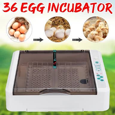 Automatic 36 Eggs incubator 360°rolling