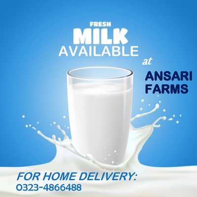 Rs. 230 / Liter Fresh & Pure Milk 03234866488