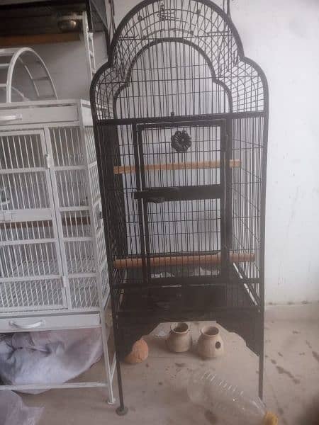 Cages available for Macaw,Grey Parrot And Different Parrots 9
