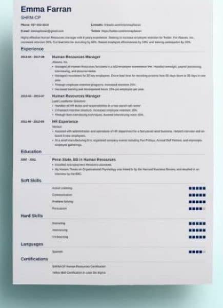 professional CV maker 1