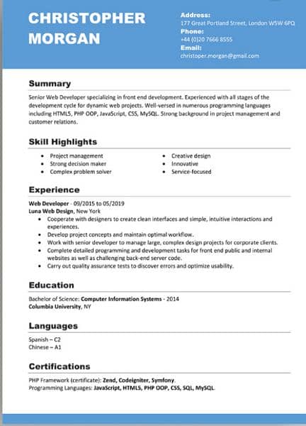 professional CV maker 2