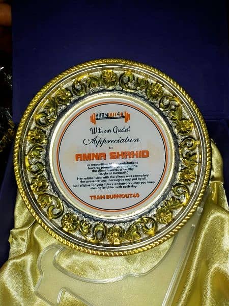 Souvenir shields Awards 1