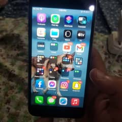 Iphone 6 Plus 64gb Price In Pakistan Olx Karachi