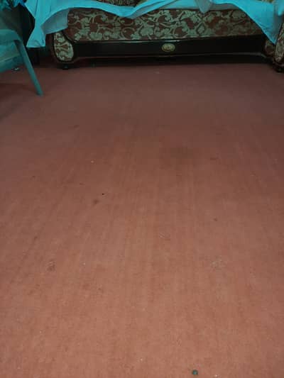 Carpet big 13.9*11 FT - Rust Color 2
