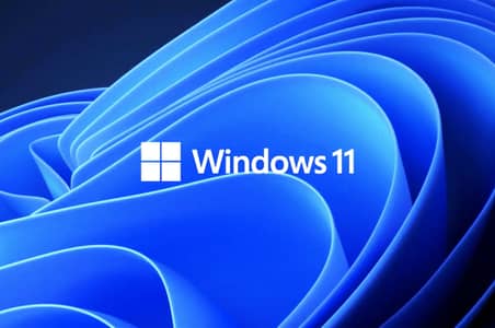 Registered Software and Operating System installation