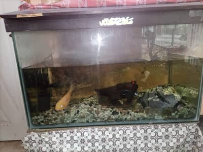 AQURIUM FOR SELL