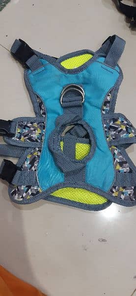 pet jacket harness and collars 2