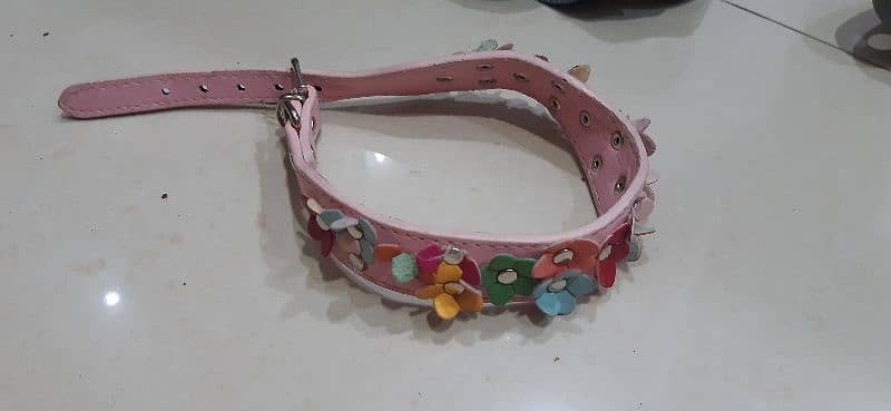 pet jacket harness and collars 3