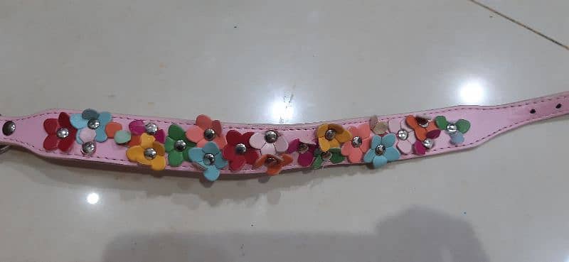 pet jacket harness and collars 4