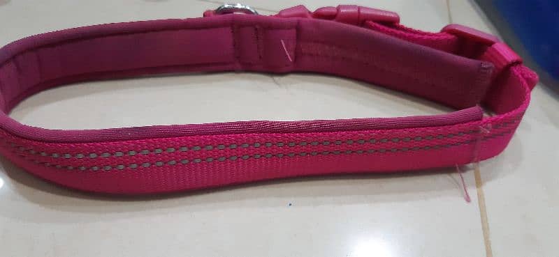 pet jacket harness and collars 5
