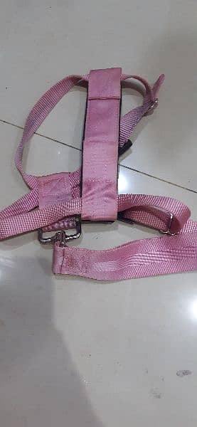 pet jacket harness and collars 6