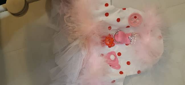 pet jacket harness and collars