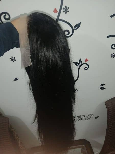 Human Hair Wig Full Head 2