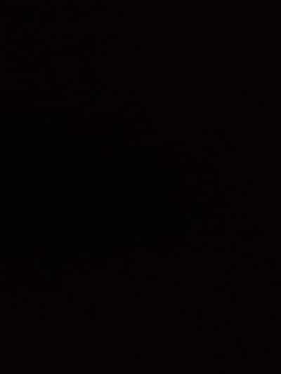 Cooking Expert/ Chef