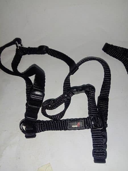 Branded Dog harness, collar & Muzzle for sale 9