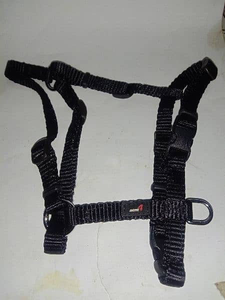 Branded Dog harness, collar & Muzzle for sale 10