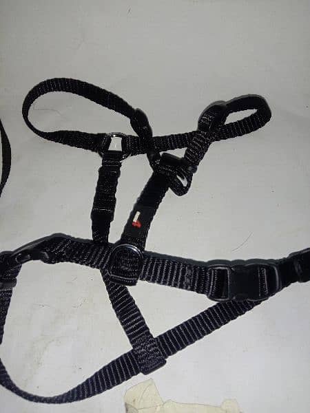 Branded Dog harness, collar & Muzzle for sale 13