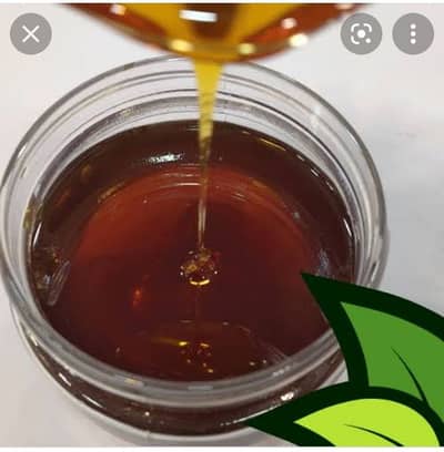  Premium Sidr (Beri) Honey — Late Harvest Export Grade 