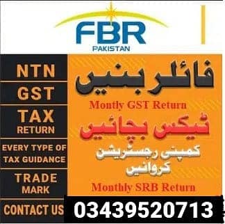 INCOME TAX CONSULTANT (FBR)NTN, SALARY,COMPANY RETURNS FILLING Service 1