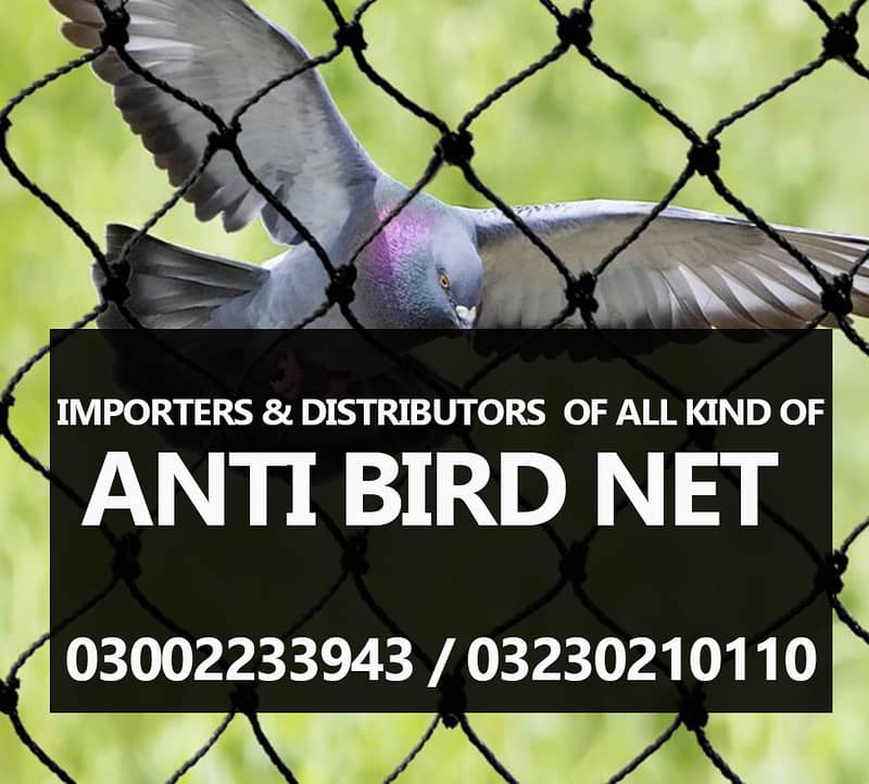 BIRD NET | ANTI BIRD NET | NET | ROOF NET | GARDEN NET 0