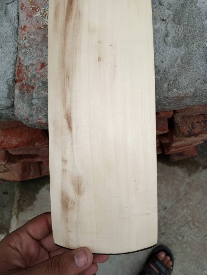 BRAND NEW HARDBALL BATS  EXPORT QUALITY CASH ON DELIVERY KASHMIRI WILL 2