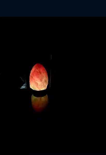 Himalayan Salt Lamp 5