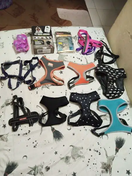 Imported Dog Belts. (diff sizes)