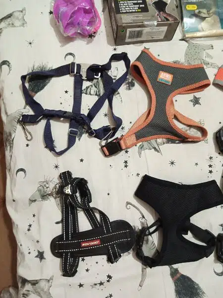 Imported Dog Belts. (diff sizes) — photo 2