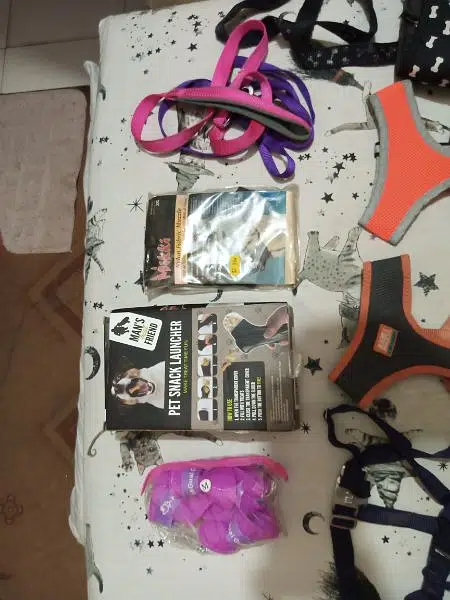 Imported Dog Belts. (diff sizes) — photo 3