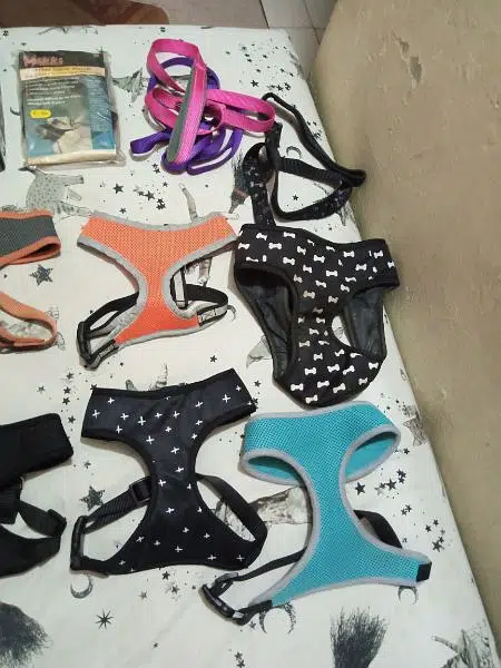 Imported Dog Belts. (diff sizes) — photo 4