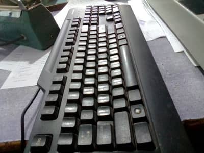 Printing and typing of school paper