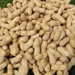 PEANUT (MONG PHALI)