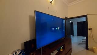 Tcl p8m 75 inch tv