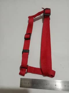 Branded Dog harness, collar & Muzzle for sale 0